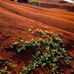 知名媒体人：PS5 Pro 2024年9月发售 有自己的DLSS类解决方案